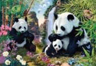 Pandad ja koaalad