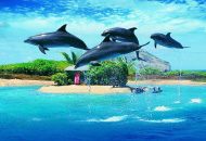 Delfiner och valar