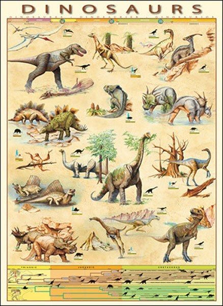 Puzzle Dinosauri 2