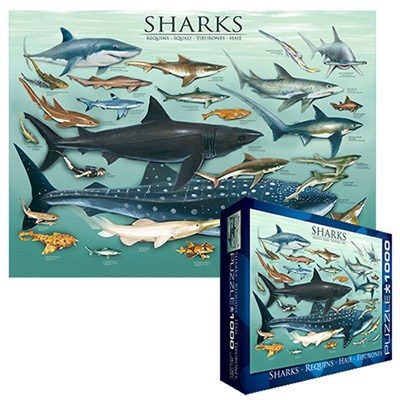 Puzzle Καρχαρίες 2