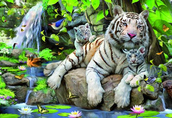 Puzzle Biele tigre z Bengálska