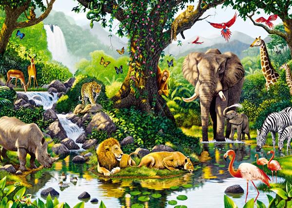 Puzzle Oázis a dzsungelben