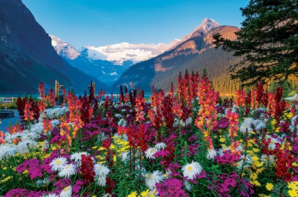 Puzzle Flowery Mountains