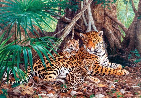 Puzzle Jaguar i djungeln