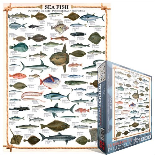 Puzzle Sea fish