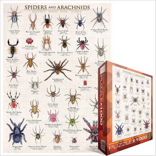 Puzzle Spiders