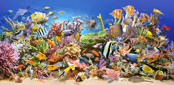 Puzzle Unterwasserleben