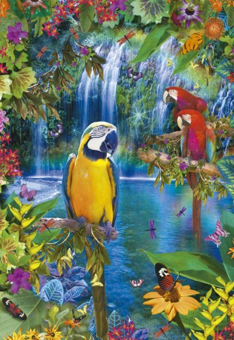Puzzle Raj tropických papagájov