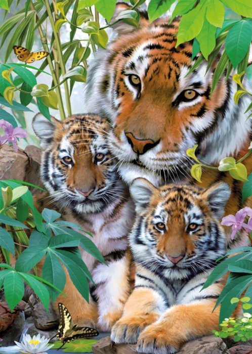 Puzzle Družina tigrov