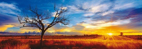 Puzzle Gray: Desert Oak at Sunset, Australia