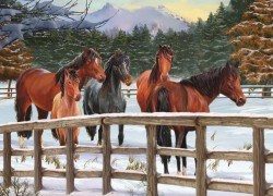Puzzle Winter paarden