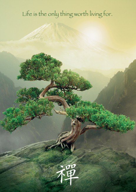 Puzzle Zen: Life tree