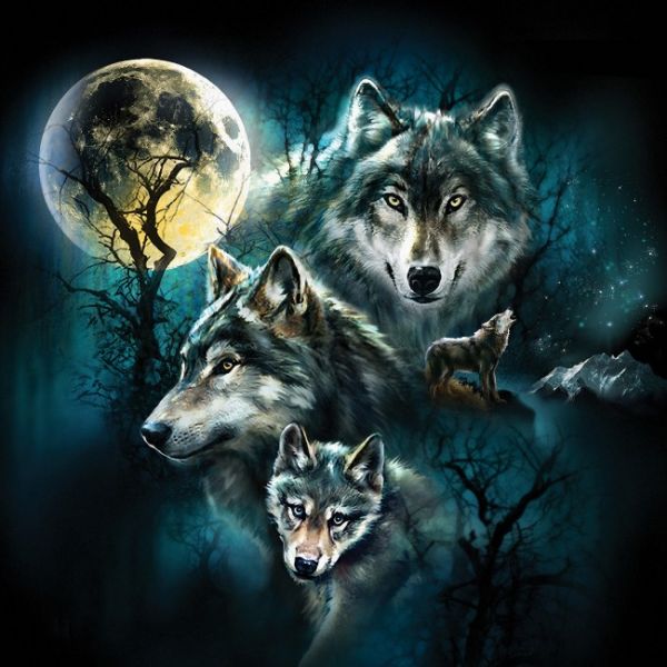 Puzzle Rodina vlkov