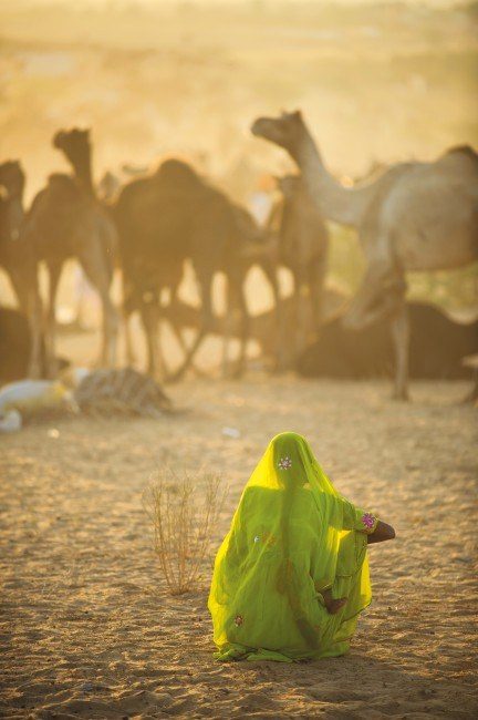 Puzzle National Geographic: Púšť