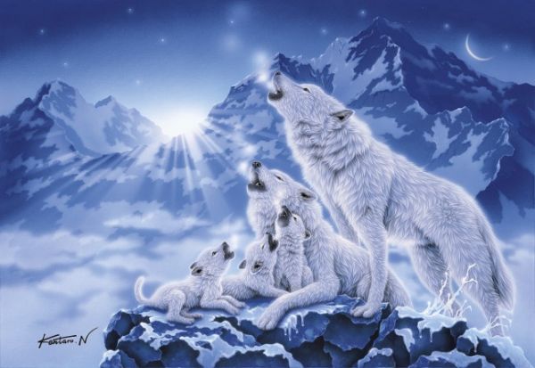 Puzzle Branco di lupi