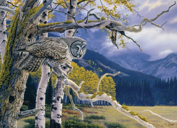Puzzle Great Grey Owl