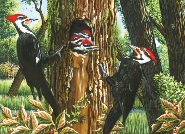 Puzzle Pileated Woodpeckers