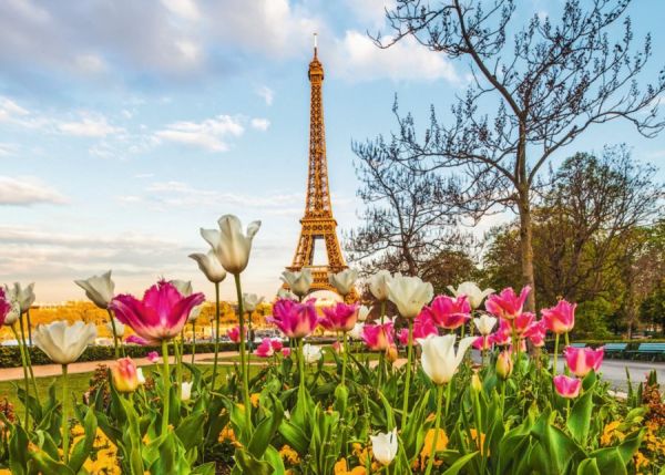 Puzzle Tulipány pri Eiffelovej veži
