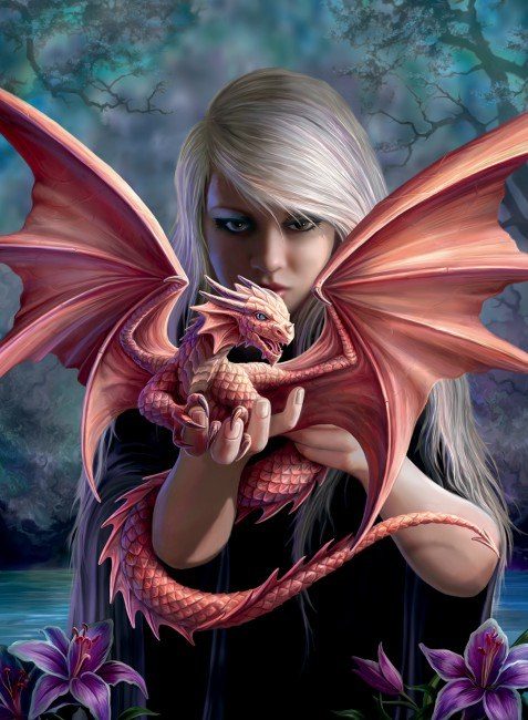 Puzzle Anne Stokes: Dragon Girls