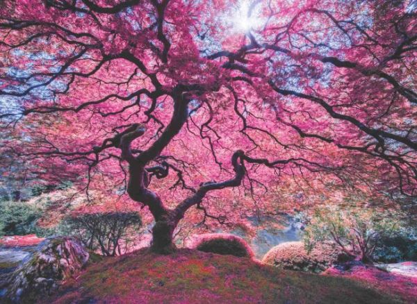 Puzzle Pink Tree
