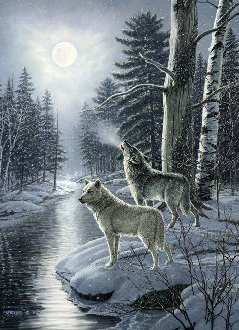 Puzzle Wolves by Moonlight
