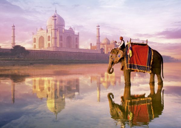 Puzzle Słoń w Taj Mahal