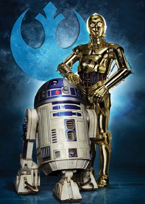 Laptop fictie Met bloed bevlekt Puzzle Star Wars Saga: R2-D2 en C-3PO, 1 000 stukken | PuzzleMania.nl