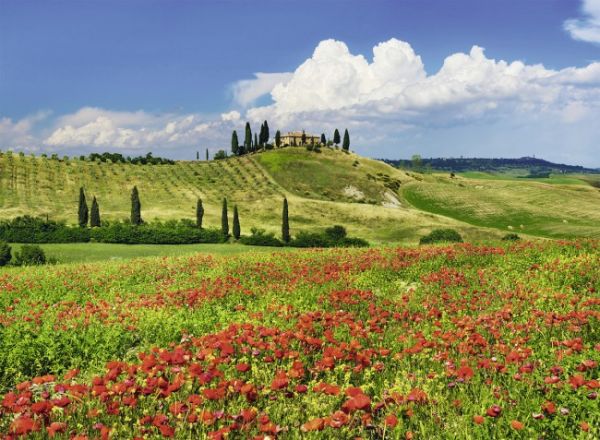 Puzzle Sommer i Toscana
