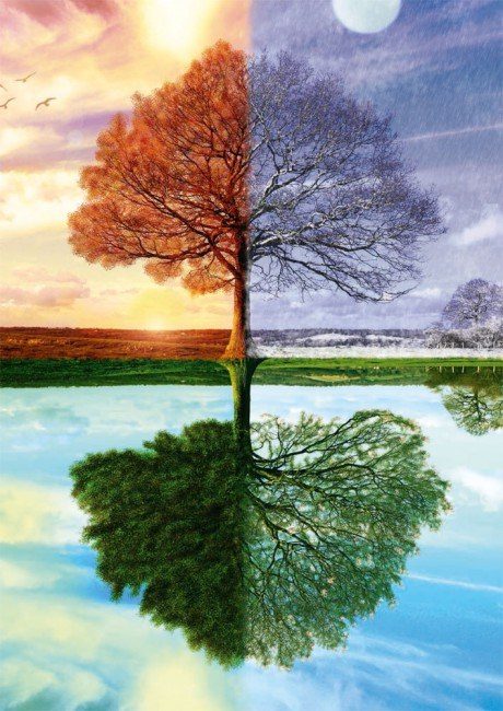 Puzzle The seasons tree