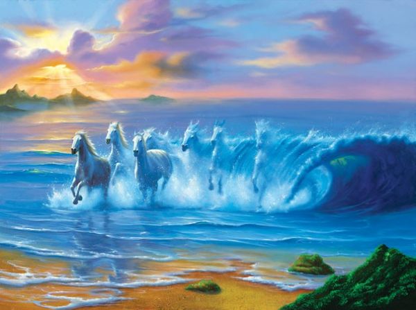 Puzzle Jim Warren: Divlji valovi