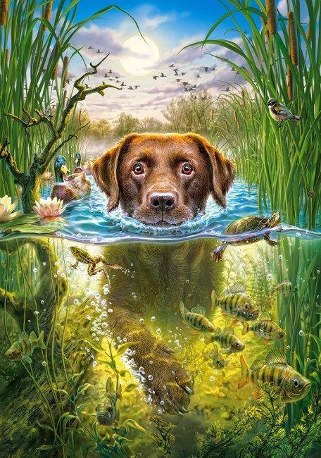 Puzzle Câine care inoata