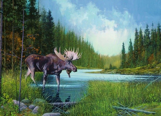 Puzzle Laird: Lacul Moose