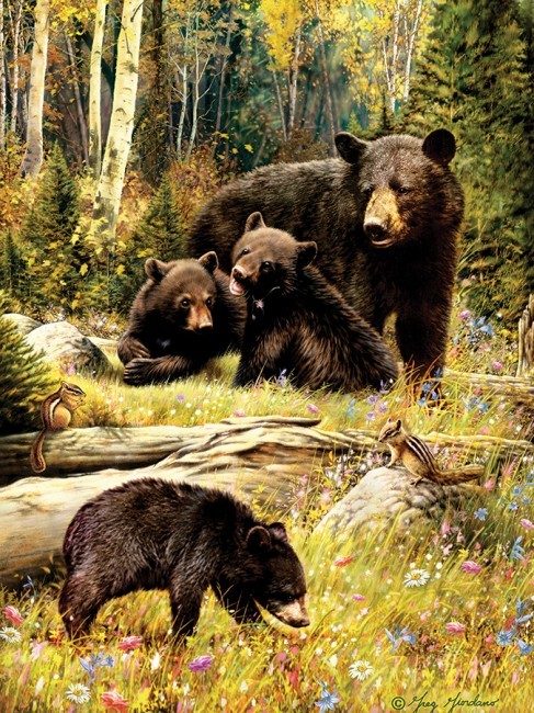 Puzzle Medvjedi