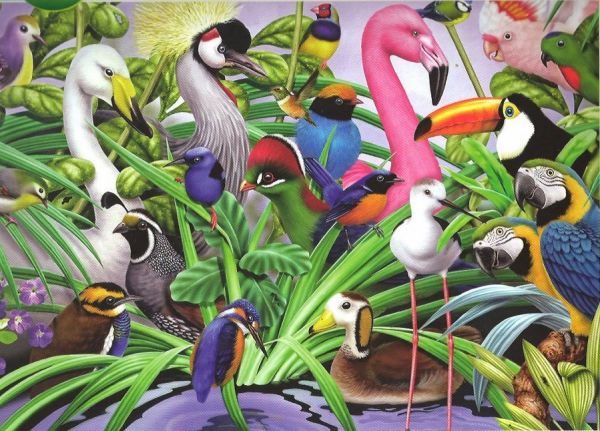 Puzzle Wonderful birds