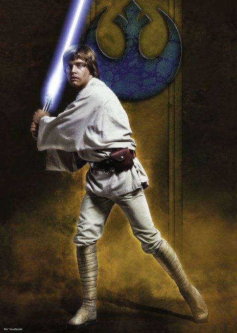 Excremento Despertar táctica Puzzle Star Wars: Luke Skywalker, 1 000 piezas | PuzzleMania.es
