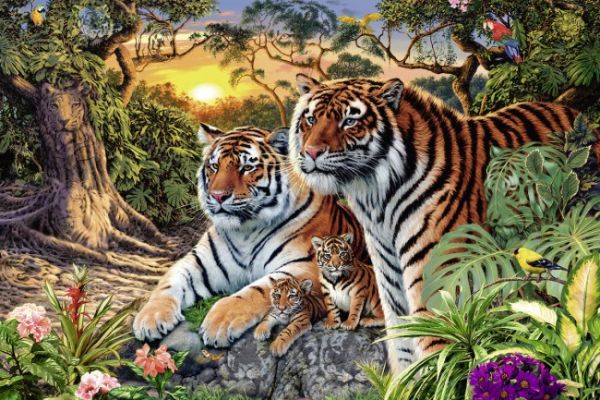 Puzzle Ukryty tygrys
