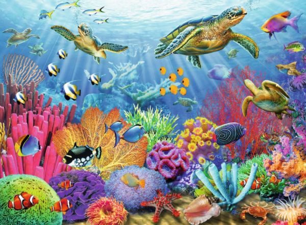 Puzzle Tropical Waters