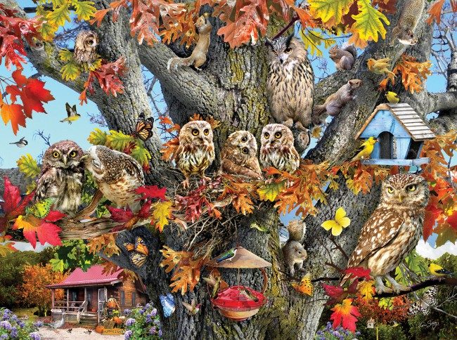 Puzzle Owl Family Reunion