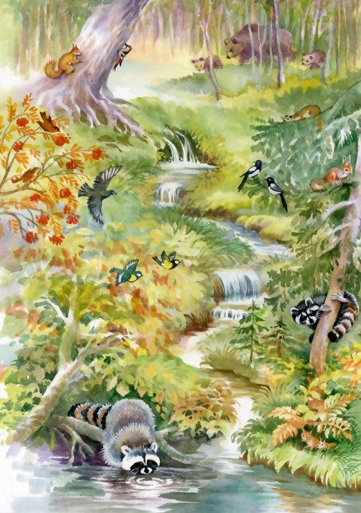 Puzzle Forest Animals II