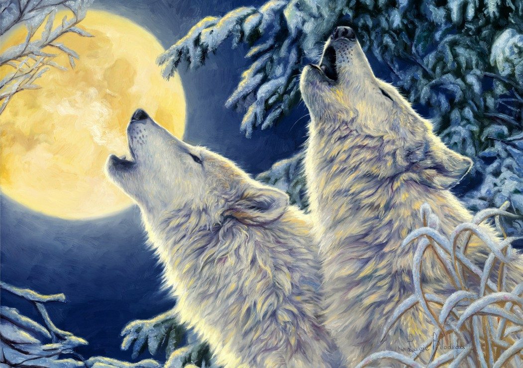 Puzzle Wolves at night