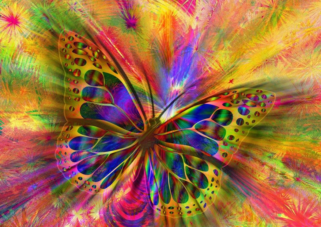 Puzzle Farverig sommerfugl