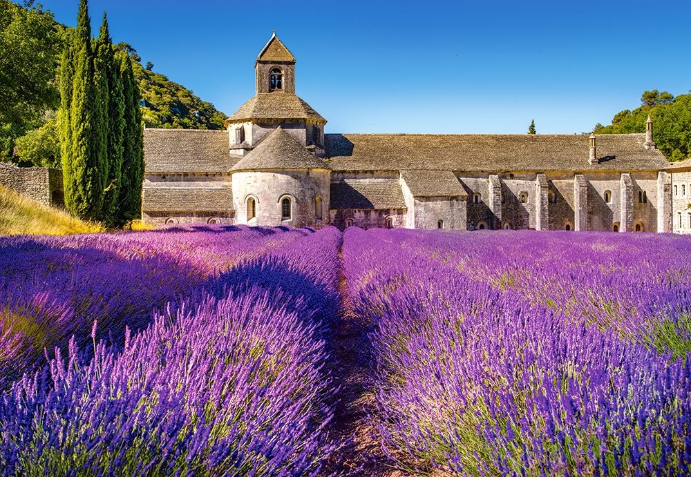 Puzzle Lavendel felt i Provence, Frankrig