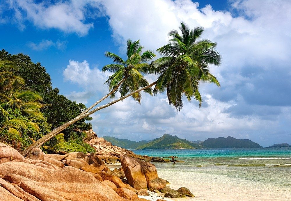 Puzzle Secret beach, Seychelles