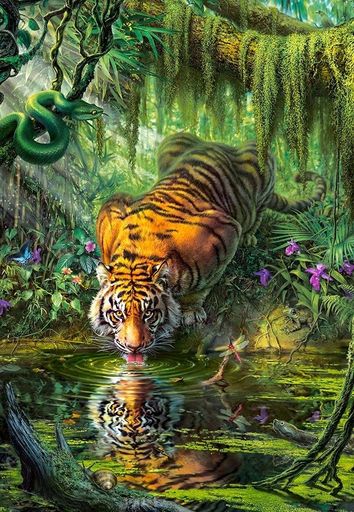 Puzzle Tiger v džungli