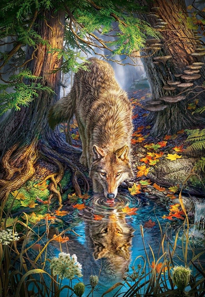 Puzzle Volk v divjini