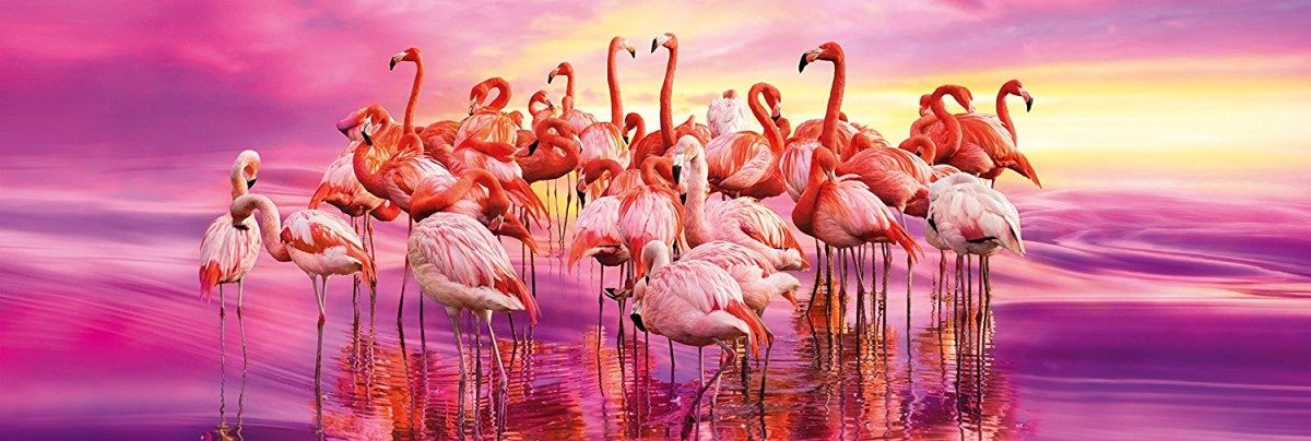 Puzzle Flamingos II