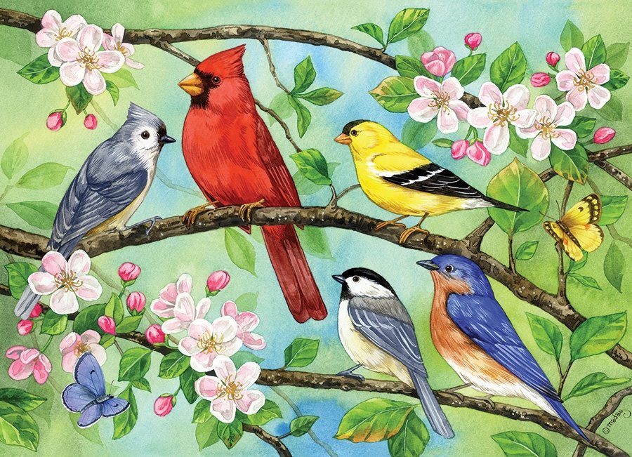 Puzzle Family Puzzle: Bloomin Brids