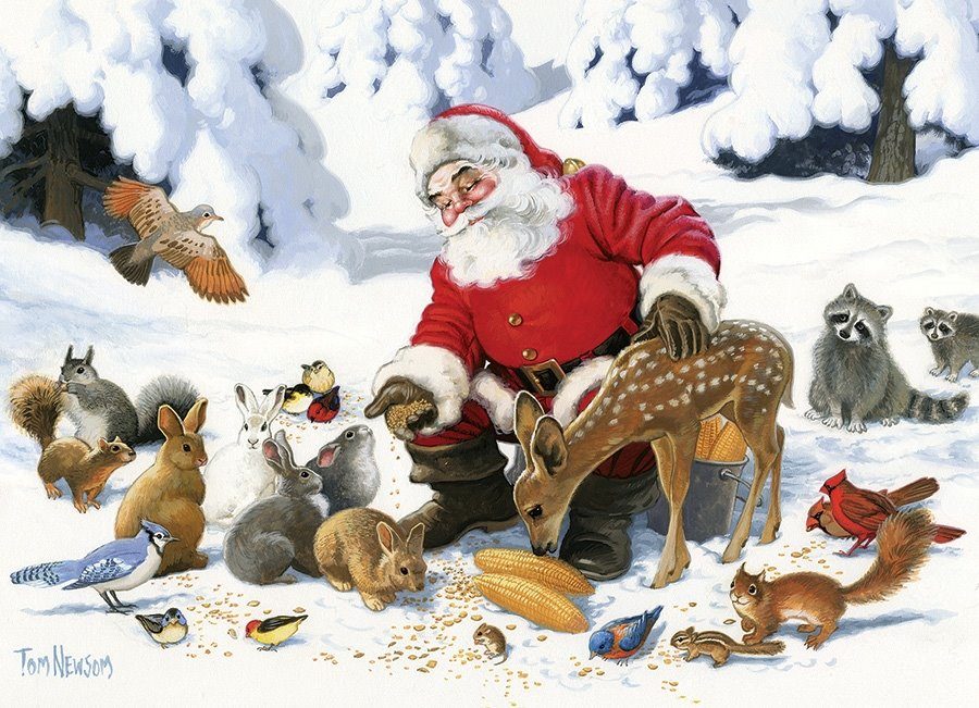 Puzzle Newsom: Family Puzzle: Santa Claus and Friends