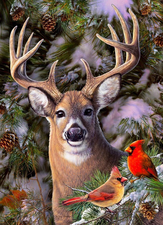 Puzzle One Deer Two Cardinals