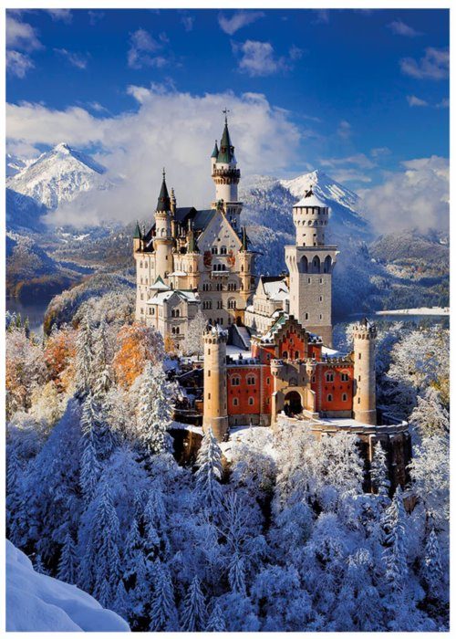 Neuschwanstein Castle in Winter 1000-Piece Puzzle 